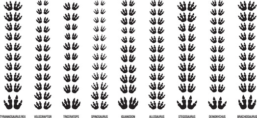 Ancient dinosaur footprint tracks showing various species paths from tyrannosaurus to brachiosaurus. Vector illustration © MstSima