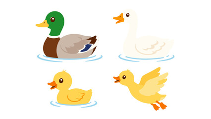 Cute duck and goose bird character set in flat vector style © Artstock