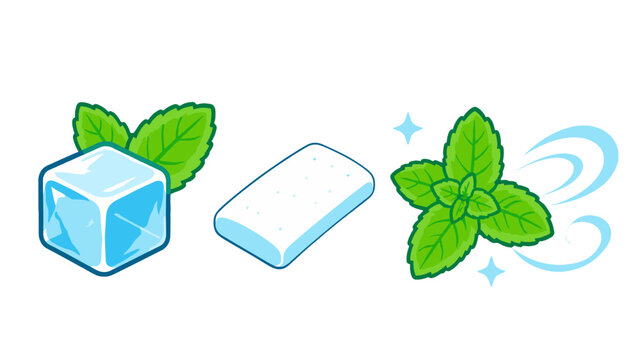 Mint chewing gum with ice cube and fresh leaves vector set