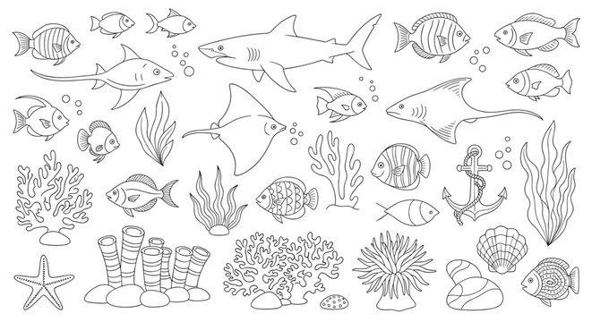 Extensive collection of hand-drawn line art illustrations featuring sharks, fish, rays, coral, seaweed, and other marine life.