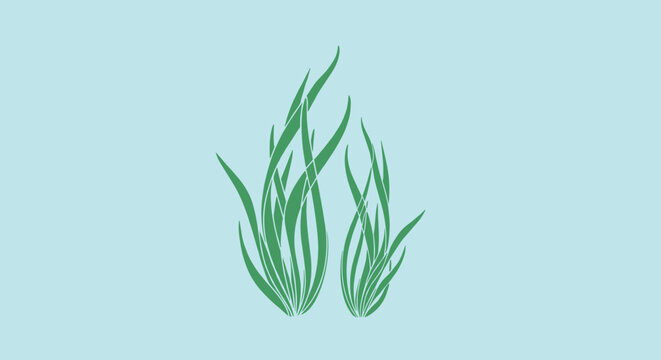 Delicate green underwater seaweed plants swaying gracefully in the deep blue water against a serene light blue background.