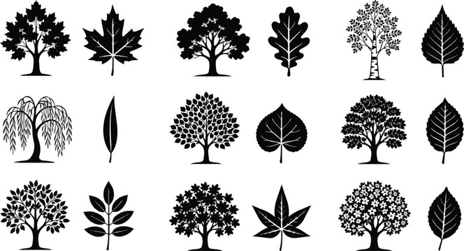 Black Silhouette Trees and Leaves Diverse Vector Illustration Set