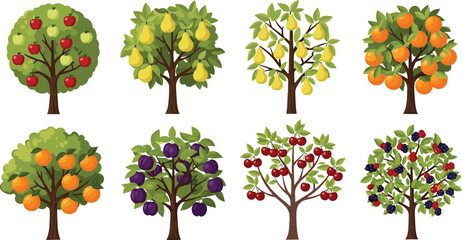 Fruit trees collection vector illustration featuring fresh apple pear orange plum cherry and berry garden plants © D P Store