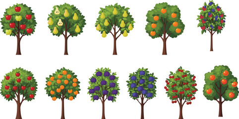 Fruit trees illustration set with fresh apple pear orange berry plum cherry and peach orchard plants © D P Store