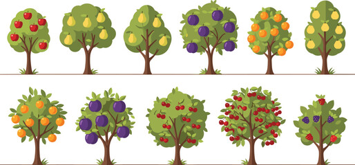 Fruit trees set vector illustration with apple pear orange plum cherry and berry orchard garden plants © D P Store