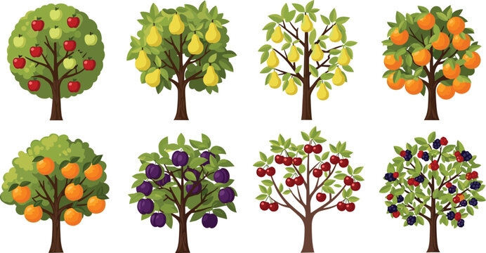 Fruit trees collection vector illustration featuring fresh apple pear orange plum cherry and berry garden plants