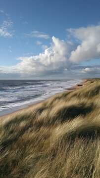 Windy shoreline with tall grass and rolling waves