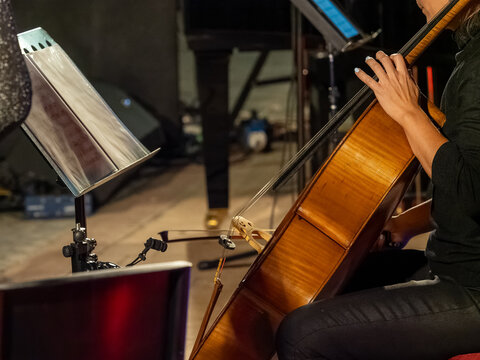Musician playing cello at a summer concert