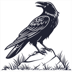 Fototapeta premium silhouette crow image on white background 