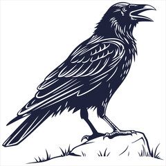 Fototapeta premium silhouette crow image on white background 