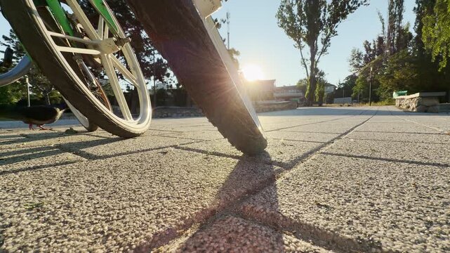 Parked bicycle wheels rest on a paved path in Simferopol, Crimea. The bright morning sunburst brings a hopeful feeling as long shadows stretch across the ground.