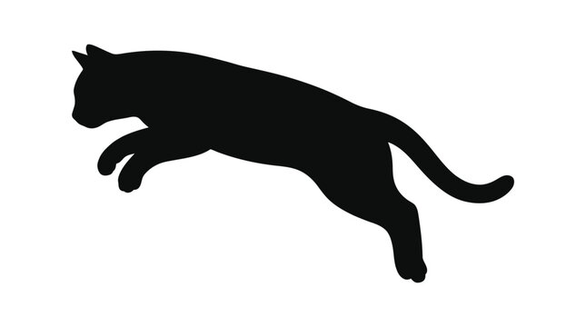 Leaping feline silhouette against a white background a striking black shape