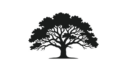 Fototapeta premium Oak tree silhouette against a white background a dark outline