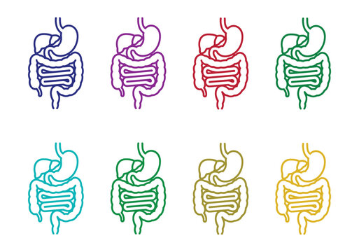 Digestive system anatomy line art, black and white human stomach, intestines, liver and internal organs illustration for medical education and coloring book pages.