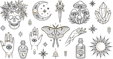 Halloween vector art a spooky collection of witchy illustrations and symbols © Universal Icons Lab