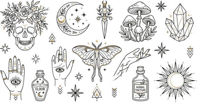 Halloween vector art a spooky collection of witchy illustrations and symbols