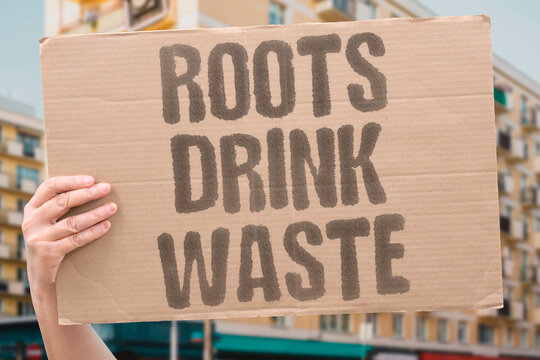 "Roots drink waste" Plants take up pollutants from the ground. TAKE, UP, POLLUTANTS, GROUND, DRINK.