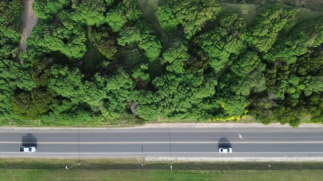 aerial drone view of ocean coastal road and city, cinematic aerial drone footage of ocean coastline, coastal road with moving cars, green trees and urban cityscape. scenic waterfront landscape in arge