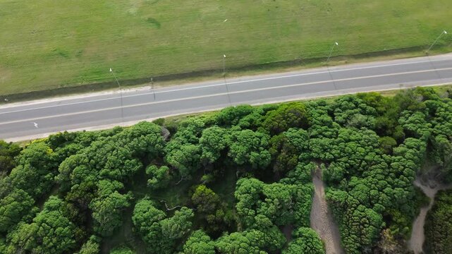 aerial drone view of ocean coastal road and city, cinematic aerial drone footage of ocean coastline, coastal road with moving cars, green trees and urban cityscape. scenic waterfront landscape in arge