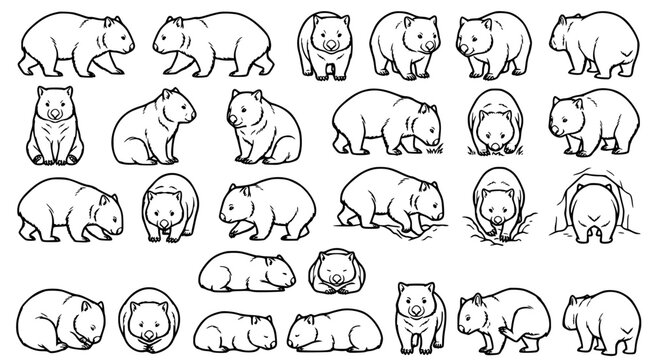 Wombat line art set featuring various poses of the Australian marsupial for nature-themed graphic design and wildlife illustration assets