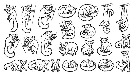 Set of hand drawn nocturnal lemur or primate illustrations in various poses isolated on white background for wildlife design and educational projects © aminul