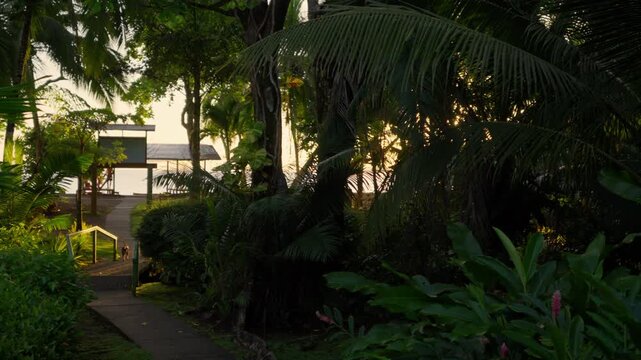Lush tropical jungle path leading to a beach house at sunset