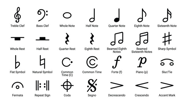 Comprehensive collection of fundamental musical notation symbols and staff elements designed for educational material sheet music composition or graphic design projects.