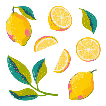 Lemon fruit illustration. Vector set of  hand drawn doodle sliced lemon