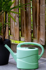 Mint green plastic watering can on a patio background with a wooden fence and potted palm tree.Close-up of a modern light green watering pot outdoors. Gardening tools and backyard lifestyle concept. © Anna Kondratiuk