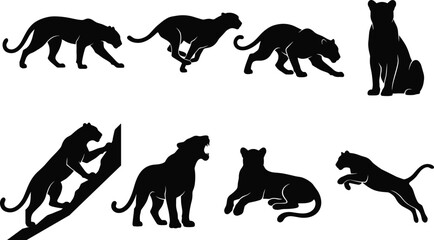 Obraz premium Big Cat Silhouette Set Collection with Walking Running Sitting Resting Roaring and Jumping Poses