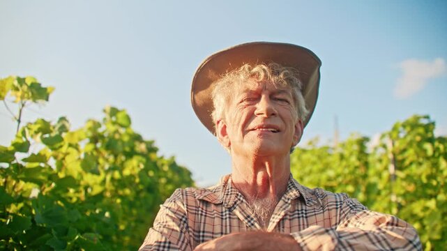 Senior Caucasian man looking up in vineyard and smiling under straw hat. Elderly male farmer enjoying sunny day between green grape vines. Wine growing agriculture and rural lifestyle. Outdoors.