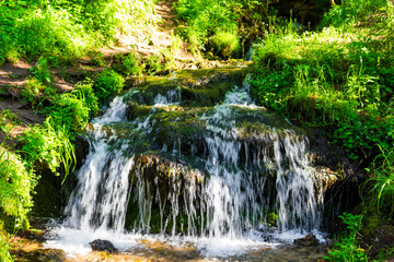 Sparkling fresh water cascades over mossy rocks in a vibrant forest, creating a tiny picturesque waterfall surrounded by lush green foliage under warm sunlight © PhotoChur