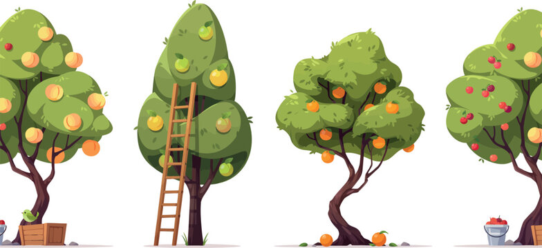Cartoon Orchard Fruit Trees Set with Ripe Apples Peaches Oranges and Wooden Ladder for Agriculture Farming Garden and Autumn Harvest Design Elements