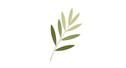 Fototapeta premium Delicate green olive branch with fresh leaves isolated on a plain white background representing peace and harmony.