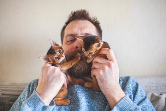 Bearded man lovingly holding two adorable Abyssinian kittens near his face. Tenderness, pet companionship, unconditional love, and the joy of caring for animals.