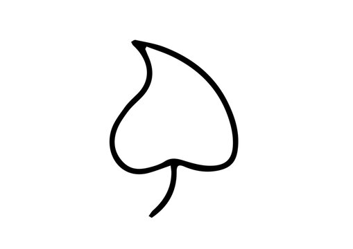 Plantes - Fragments de plantes (plant fragments)