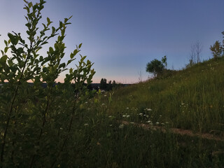 Fototapeta premium Green grass and blue sky in the wild in mountains road with meadow in evening sunset 
