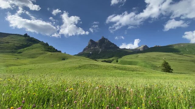 Idyllic summer mountain landscape in the Alps with lush green meadows and blooming flowers blowing in the wind