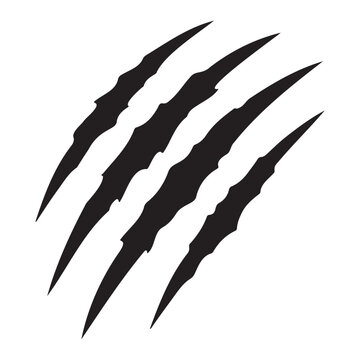Black and white vector illustration of sharp animal claw marks on white background