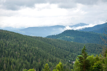 Fototapeta premium Foggy mountain landscape with rolling forested hills and a small village nestled in the valley beneath a dramatic cloudy sky. Carpathian Mountains, Ukraine