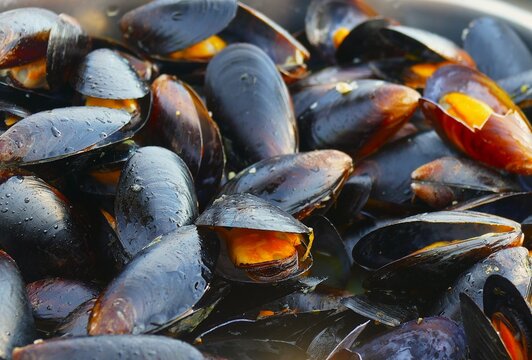 Fresh mussels cooked in tasty sauce healthy mediterranean food gastronomy background