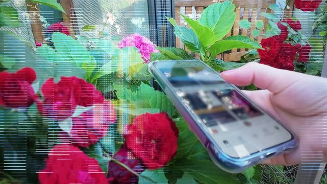 A hand scrolling mobile phone feed