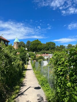 Concrete path winding through lush greenery in Oslo, Norway