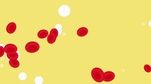bloodstream component with plasma, red and white blood cells drifting