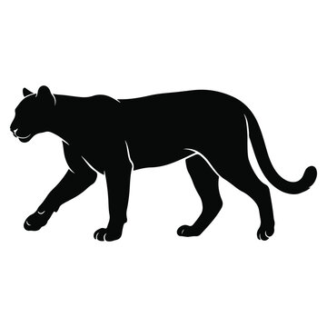 Black silhouette vector illustration of a prowling mountain lion with mountain