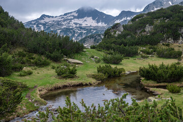 Fototapeta premium Pirin Mountain near Banderitsa Area, Bulgaria