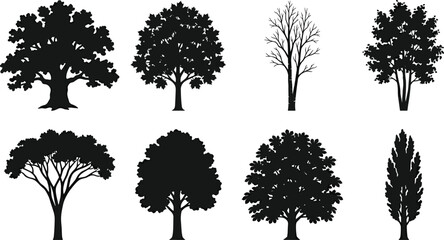 Fototapeta premium Variety of Tree Silhouettes with Distinct Canopy and Trunk Designs for Creative Projects
