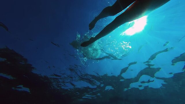 Swimmer glides through blue waters under sunlight in tropical setting