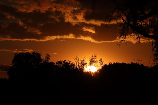 sunset in the forest