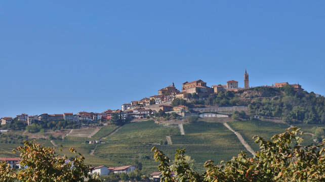 landscapes of the Langhe in Piedmont with vineyards during summer before autumn and the harvest near Alba and Barolo